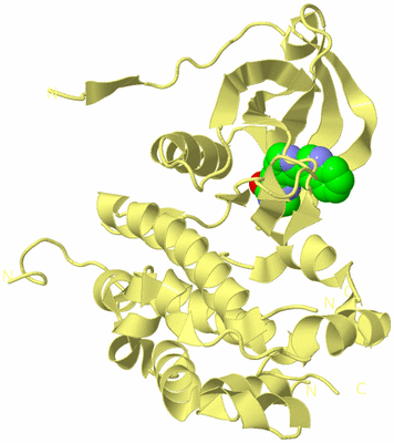 Image Biological Unit 9