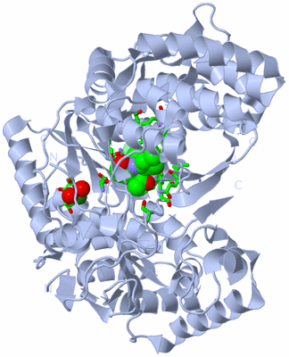 Image Biol. Unit 1 - sites