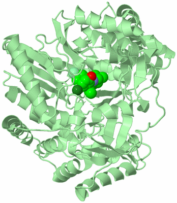 Image Biological Unit 2