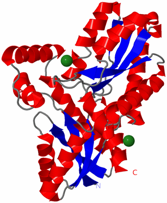 Image Asym./Biol. Unit