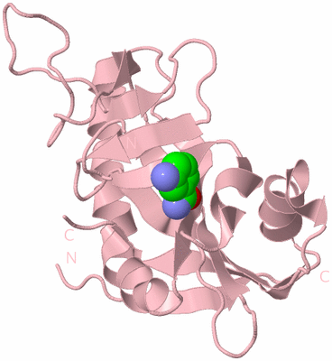 Image Biological Unit 3