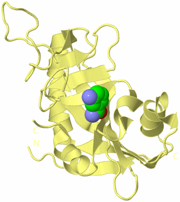 Image Biological Unit 4