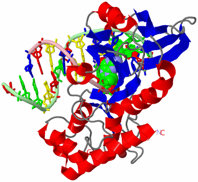 Image Asym./Biol. Unit