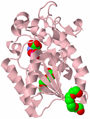 Image Biological Unit 3