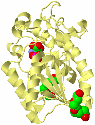 Image Biological Unit 4