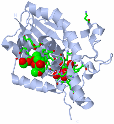 Image Biol. Unit 1 - sites