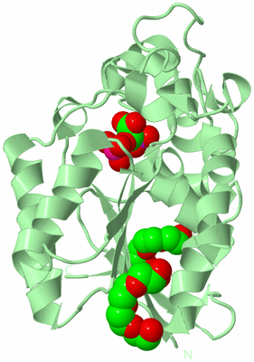 Image Biological Unit 2