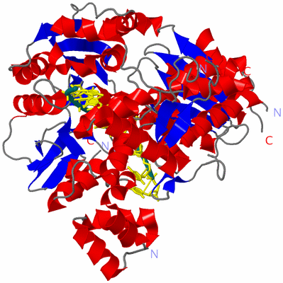 Image Asym./Biol. Unit