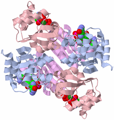 Image Biological Unit 1