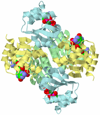 Image Biological Unit 2