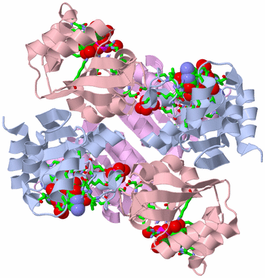 Image Biol. Unit 1 - sites