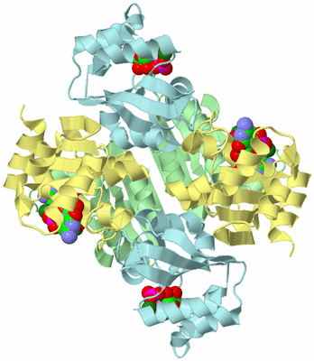 Image Biological Unit 2