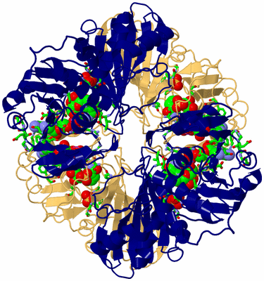 Image Biol. Unit 1 - sites