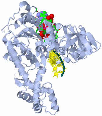 Image Biol. Unit 1 - sites