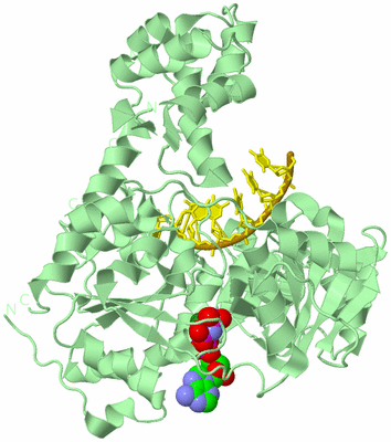 Image Biological Unit 2