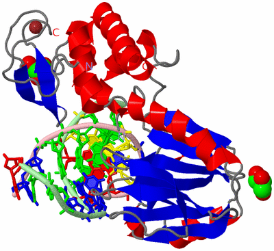 Image Asym./Biol. Unit