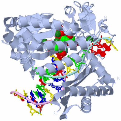 Image Biological Unit 1