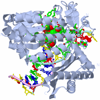 Image Biol. Unit 1 - sites