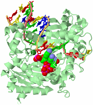 Image Biological Unit 2