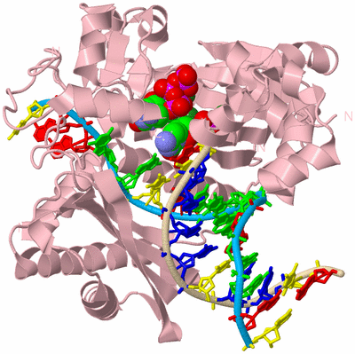 Image Biological Unit 3