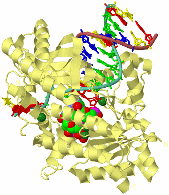 Image Biological Unit 4