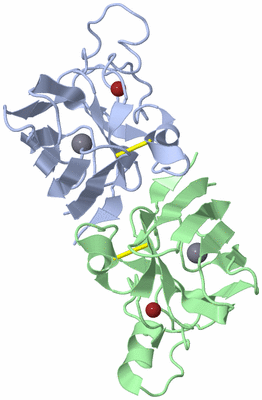 Image Biological Unit 1