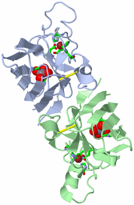 Image Biol. Unit 1 - sites