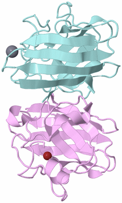 Image Biological Unit 3