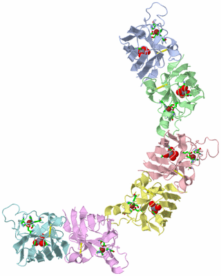 Image Asym. Unit - sites