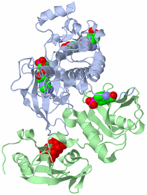 Image Asym./Biol. Unit