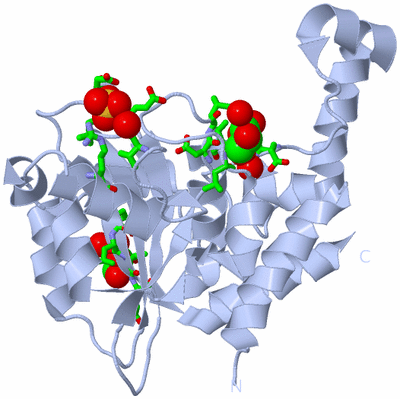 Image Biol. Unit 1 - sites