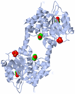 Image Biological Unit 2