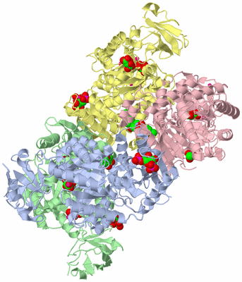 Image Asym./Biol. Unit