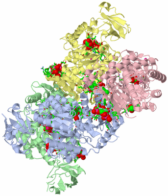 Image Asym./Biol. Unit - sites