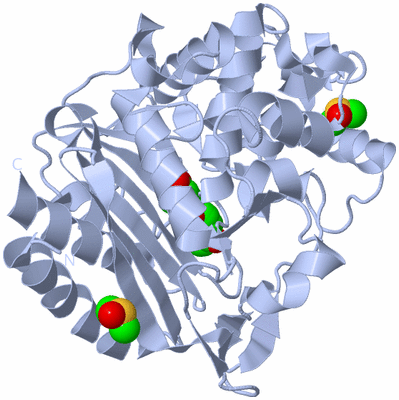 Image Biological Unit 1