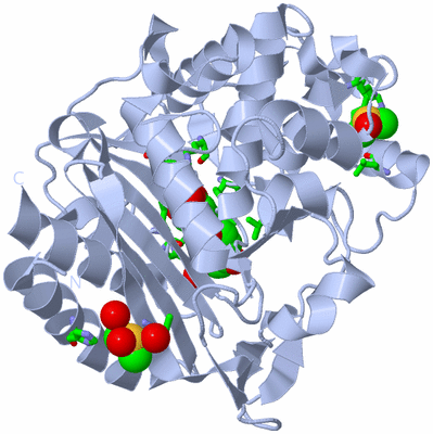 Image Biol. Unit 1 - sites