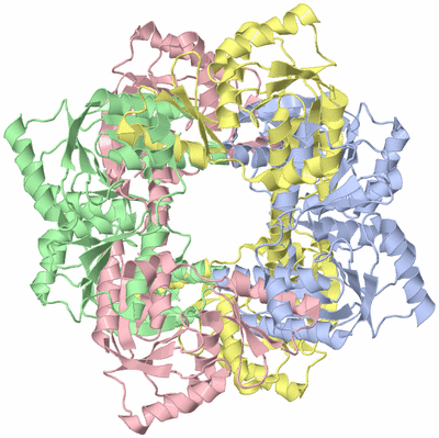 Image Biological Unit 1