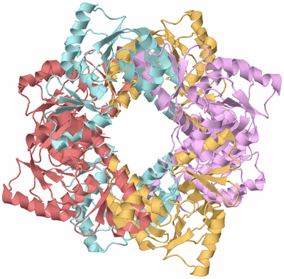 Image Biological Unit 2