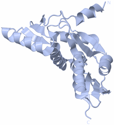 Image Biological Unit 3