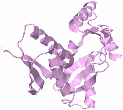 Image Biological Unit 7