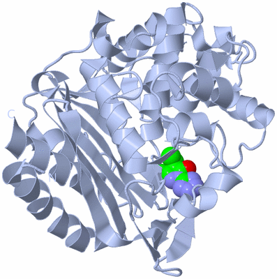 Image Biological Unit 1