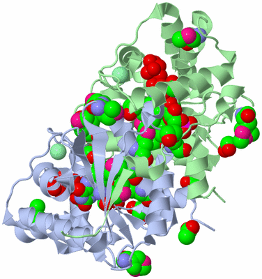 Image Asym./Biol. Unit