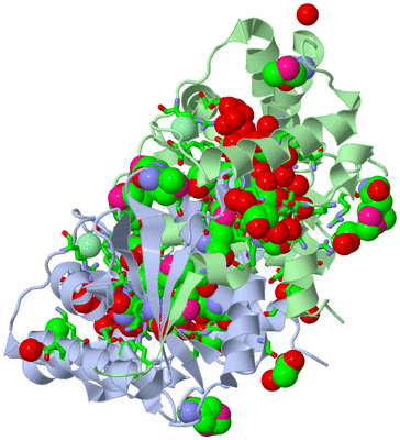 Image Asym./Biol. Unit - sites