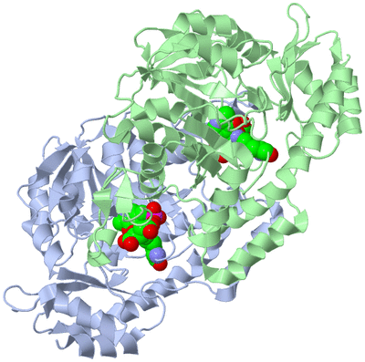 Image Biological Unit 1