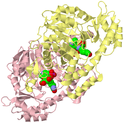 Image Biological Unit 2