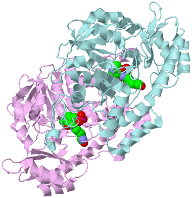 Image Biological Unit 3