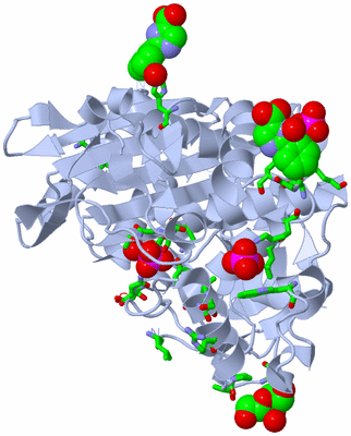 Image Biol. Unit 1 - sites