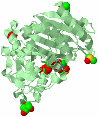 Image Biological Unit 2