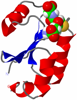 Image NMR Structure - model 1