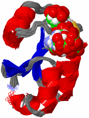 Image NMR Structure - all models